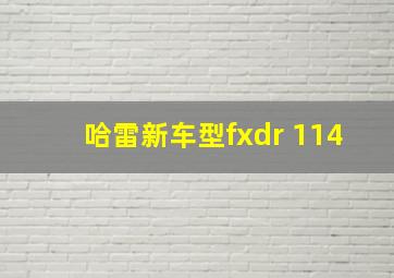 哈雷新车型fxdr 114